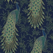 Rasch Portfolio Peacock