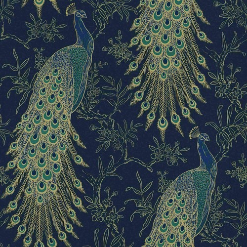 Rasch portfolio peacock - rasch,