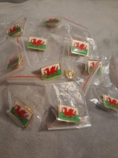 Pin Badges Pack Of 10 Wales