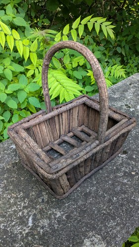 Antique 19th adirondack twig - 19th,