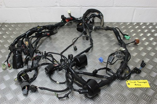 Gtr1400 wiring harness - gtr1400,