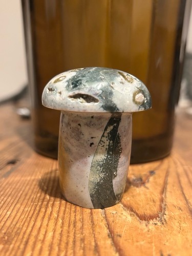 Ocean jasper chunky mushroom - ocean,