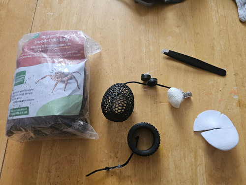 Jumping spider accessories - jumping,