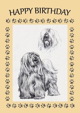 TIBETAN TERRIER DOG BIRTHDAY