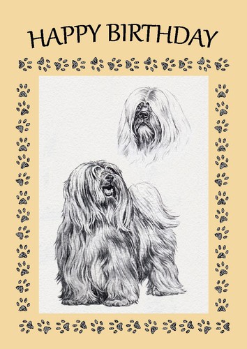 Tibetan terrier dog birthday - terrier,
