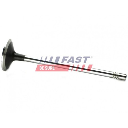 Intake valve for fiat - valve,