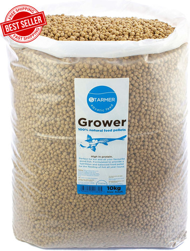 Pond fish food koi carp - fish,