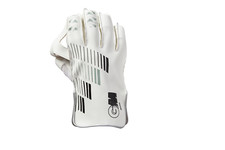 Cricket 606 wicket keeping - gm,