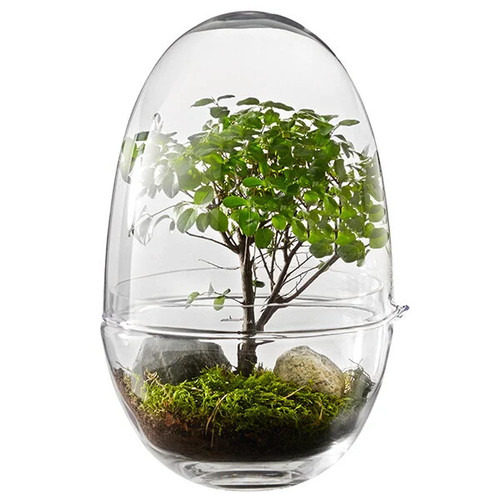Grow mini greenhouse - ,, l-design