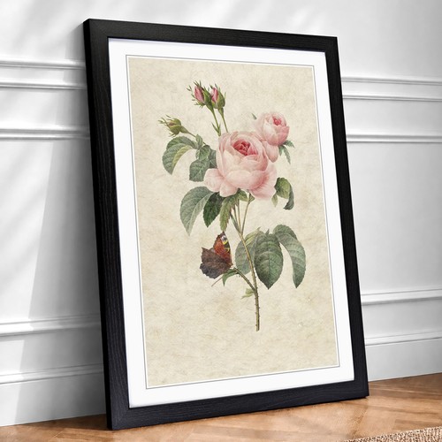 Butterfly pink rose - butterfly, &