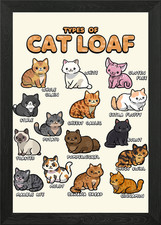 Types of Cat Loaf Illustration
