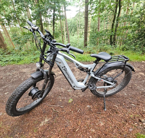 Bike dual motor - fat, tyre