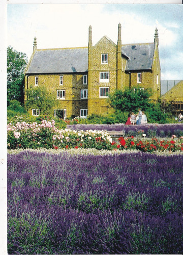 Norfolk lavender ltd - norfolk,