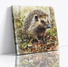 Hedgehog British Countryside