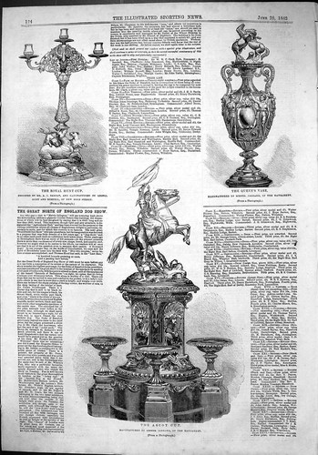 Old 1862 royal hunt - old,