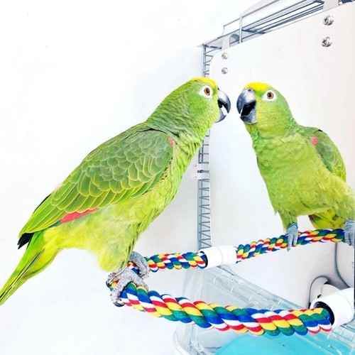 Acrylic bird mirror with - with, perch