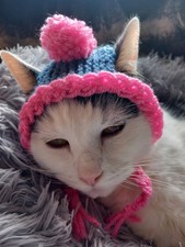 Hand Knitted cute blue Cats