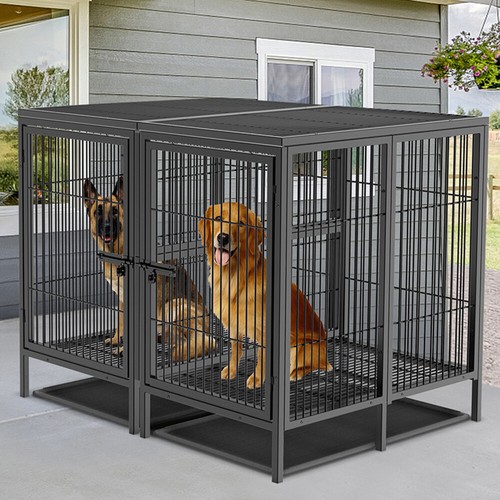 Xxxl large dog - dog, elevated