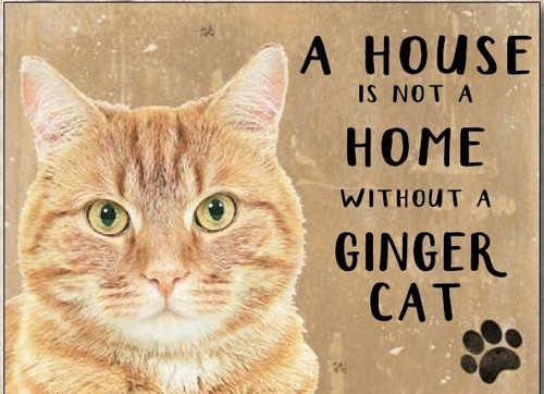 House not home ginger - a,