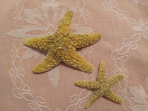 Vintage lot dried natural - 2,