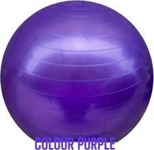 Exercise Fitness Birthing Ball