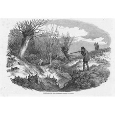 HUNTING Rabbit Shooting near Tunbridge - Antique Print 1850