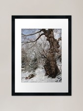 Giant framed art - art,