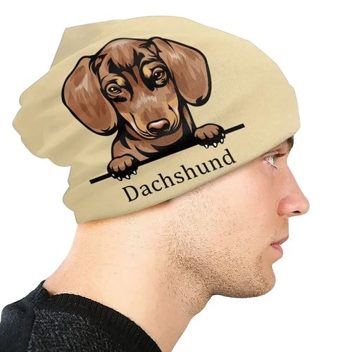 Dachshund sausage dog - dachshund,