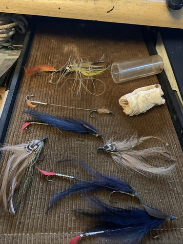 Old vintage trout - vintage, trout/salmon