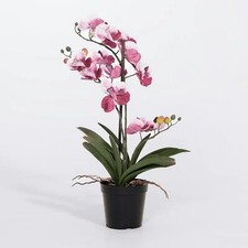 Blooming Artificial - Faux