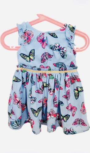 Monsoon azure blue butterfly - monsoon,