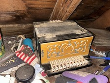 Beaver Brand Antique 21 Button