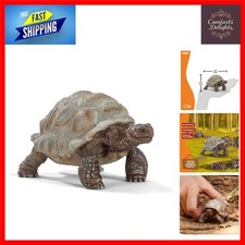 Realistic galapagos giant - realistic,