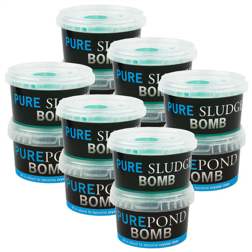 Evolution aqua pure bomb - pure, /
