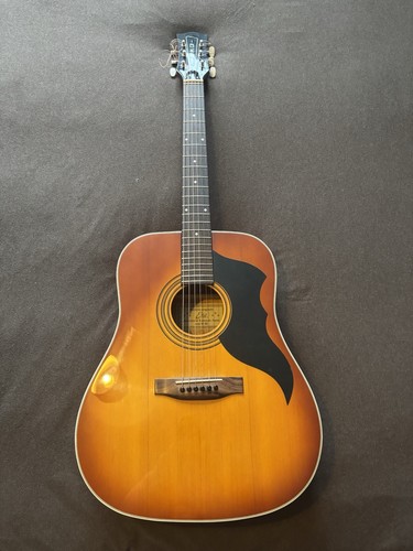 Eko d50 sunburst - ‘82,