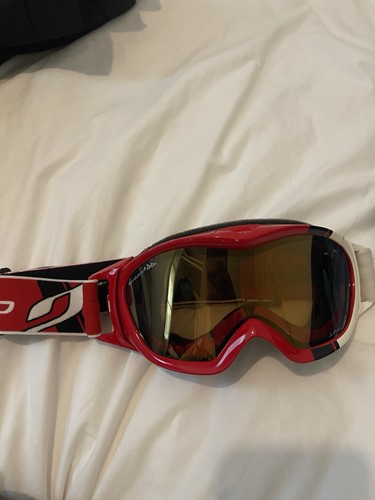 Julbo revolution zebra snow - revolution,
