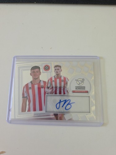 Efl premium harrison burrows - harrison,