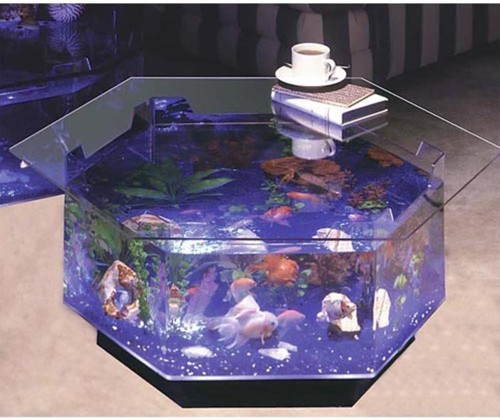 Gallon aquarium coffee - gallon,