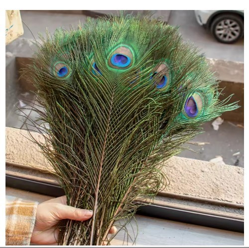 10pcs real peacock feather - 10pcs,