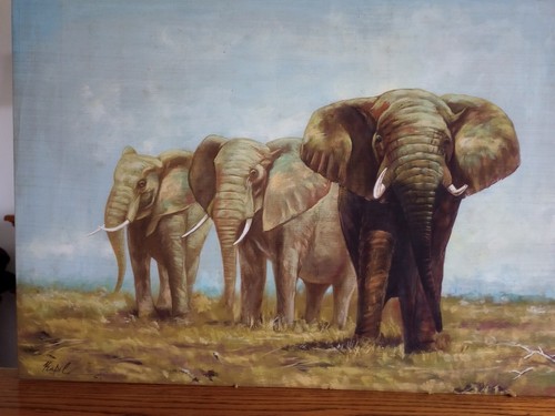 Bull elephant painting - elephant,