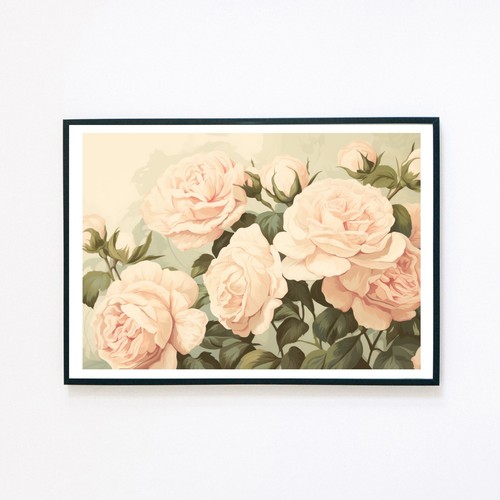 Still life rose - still,