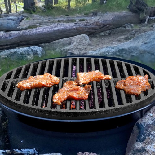 Barbecue griddle cast - barbecue, iron