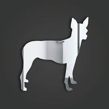 Xolo (Mexican Hairless) Style 6 Silver Acrylic Mirror