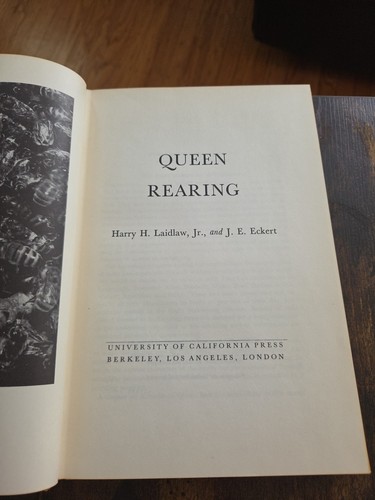 Queen rearing harry - queen,