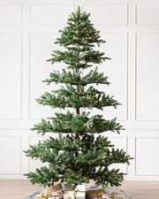 Balsam Hill - Mountain Fir Trees 6.5 ft LIT RRP £879