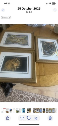 Stephen gayford signed limited - stephen,
