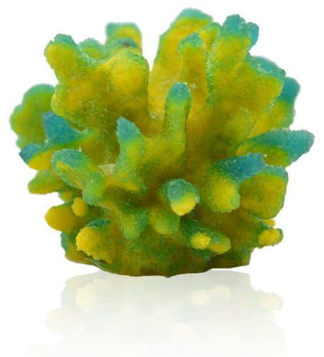 Deep blue coral - deep, concepts