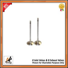 Inlet and  Exhaust Valve 16