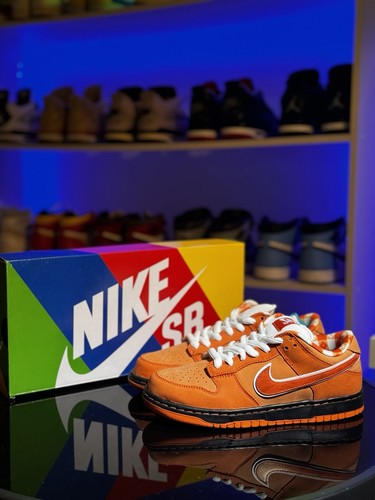 Concepts nike dunk low - x,