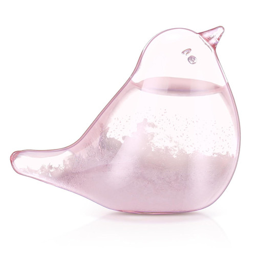 Storm glass weather - storm,